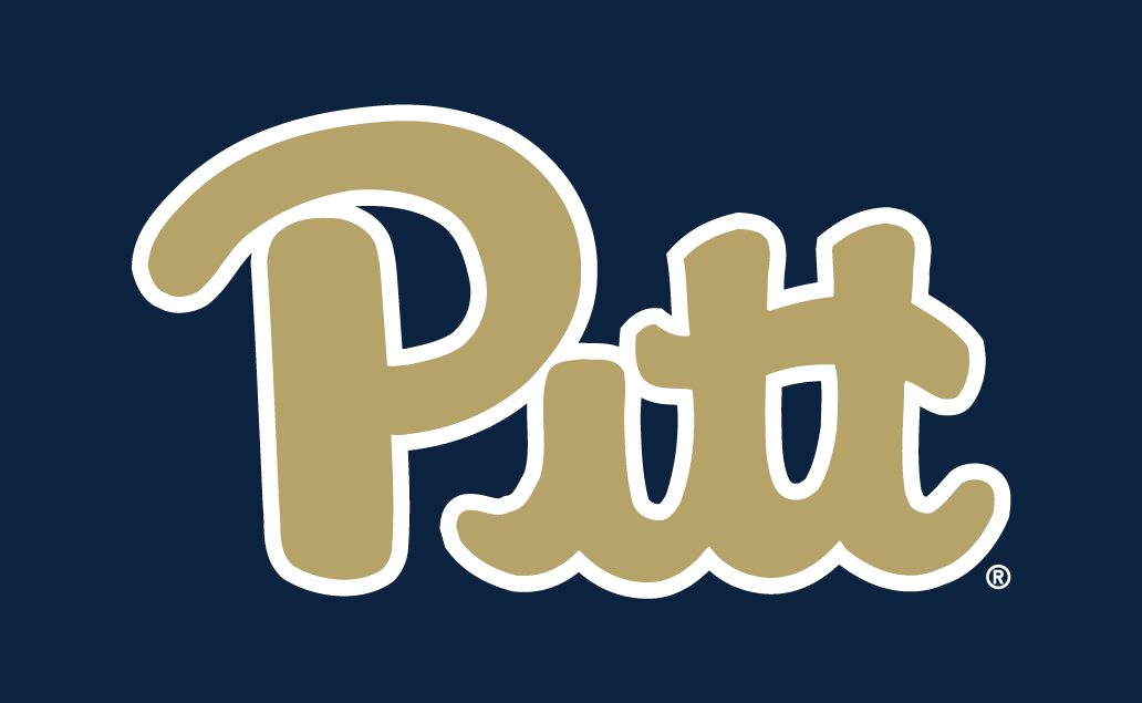 Pittsburgh Panthers 2016-2018 Alternate Logo v2 iron on transfers for T-shirts